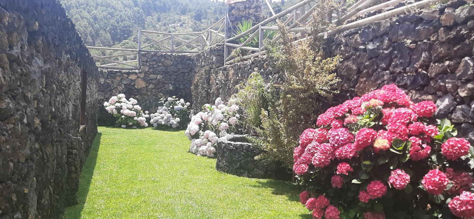 Casas Rurales Los Guinderos Icod De Los Vinos Dış mekan fotoğraf